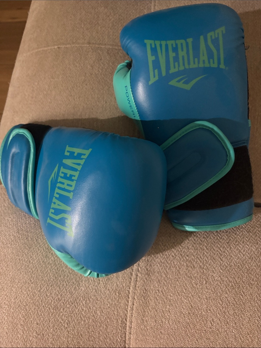 Everlast Blue and Teal Training Boxing Gloves